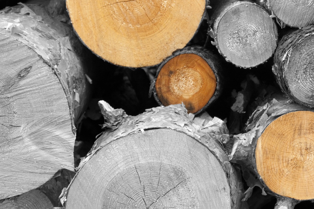 Træ | Håndværk og design 3-8 | Gyldendals fagportaler